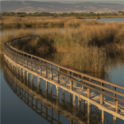 Ontdek de ongerepte schoonheid van El Fondo Natuurpark in Elche