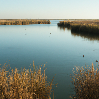 Ontdek de pracht van het Natuurpark Albufera bij Valencia