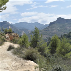 Het Natuurpark Sierra Calderona: Een Adembenemend Uitje in de Buurt van Benidorm