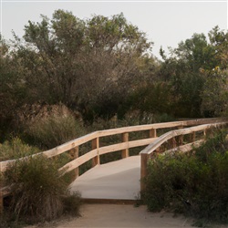 Ontdek het El Fondo Natuurpark in Guardamar del Segura