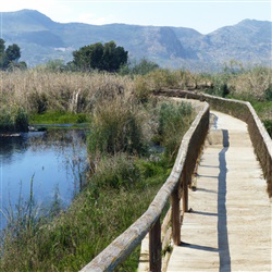 Ontdek het prachtige natuurpark Marjal de Pego-Oliva nabij Benidorm